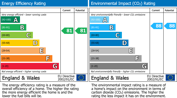 Energy Performance Certificate for Alexander Court, Littlehampton