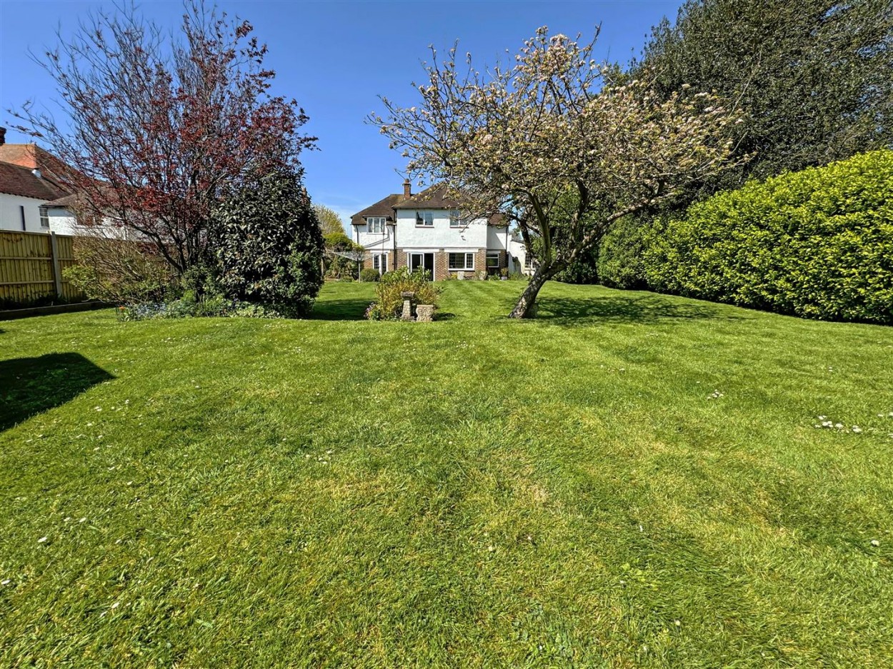 garden.jpg