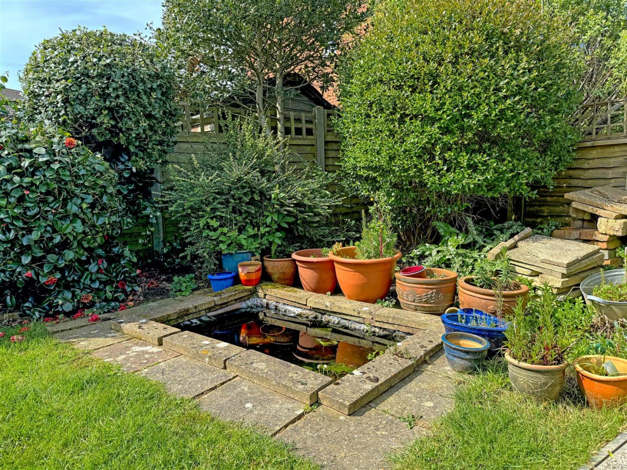 Pond.jpg