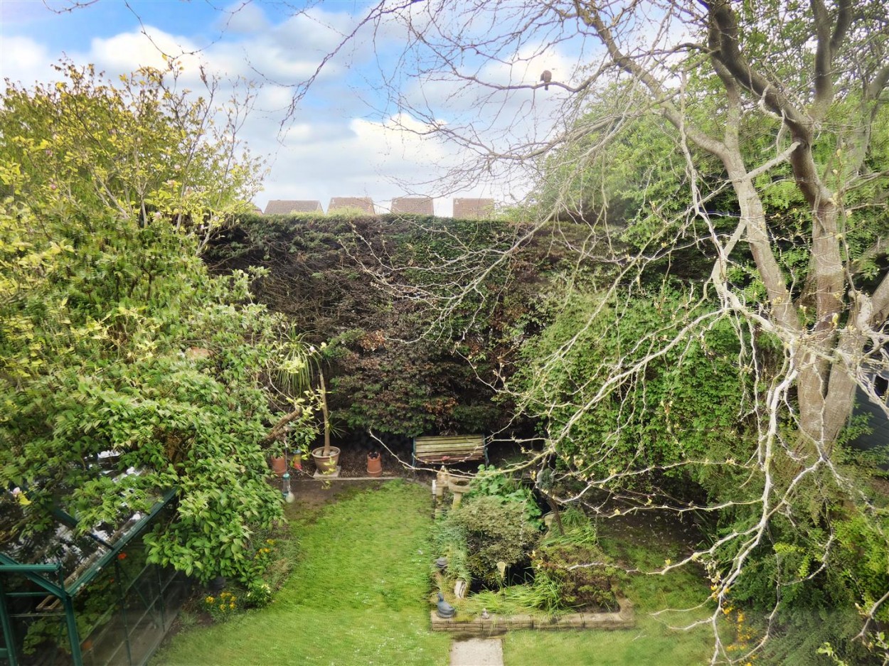 P1170233.JPG