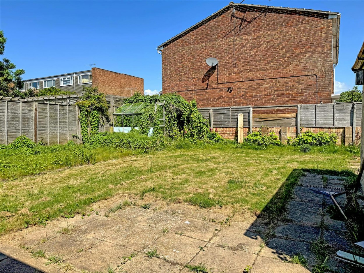 garden.jpg