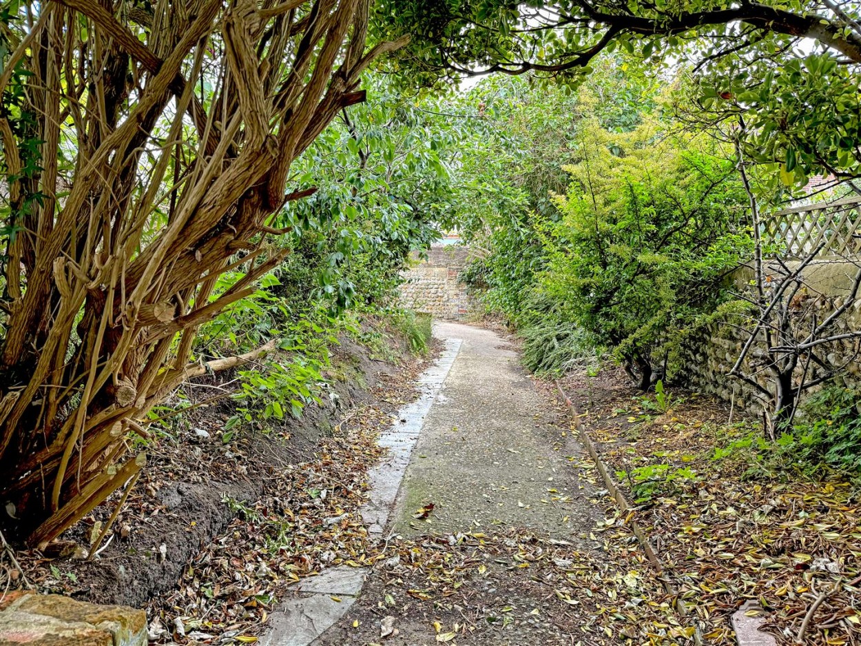 garden2.jpg