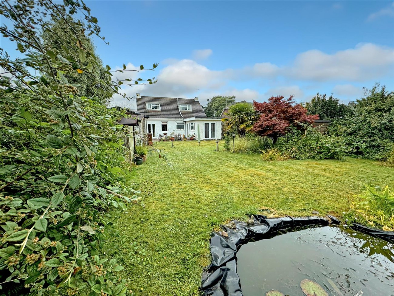 garden.jpg