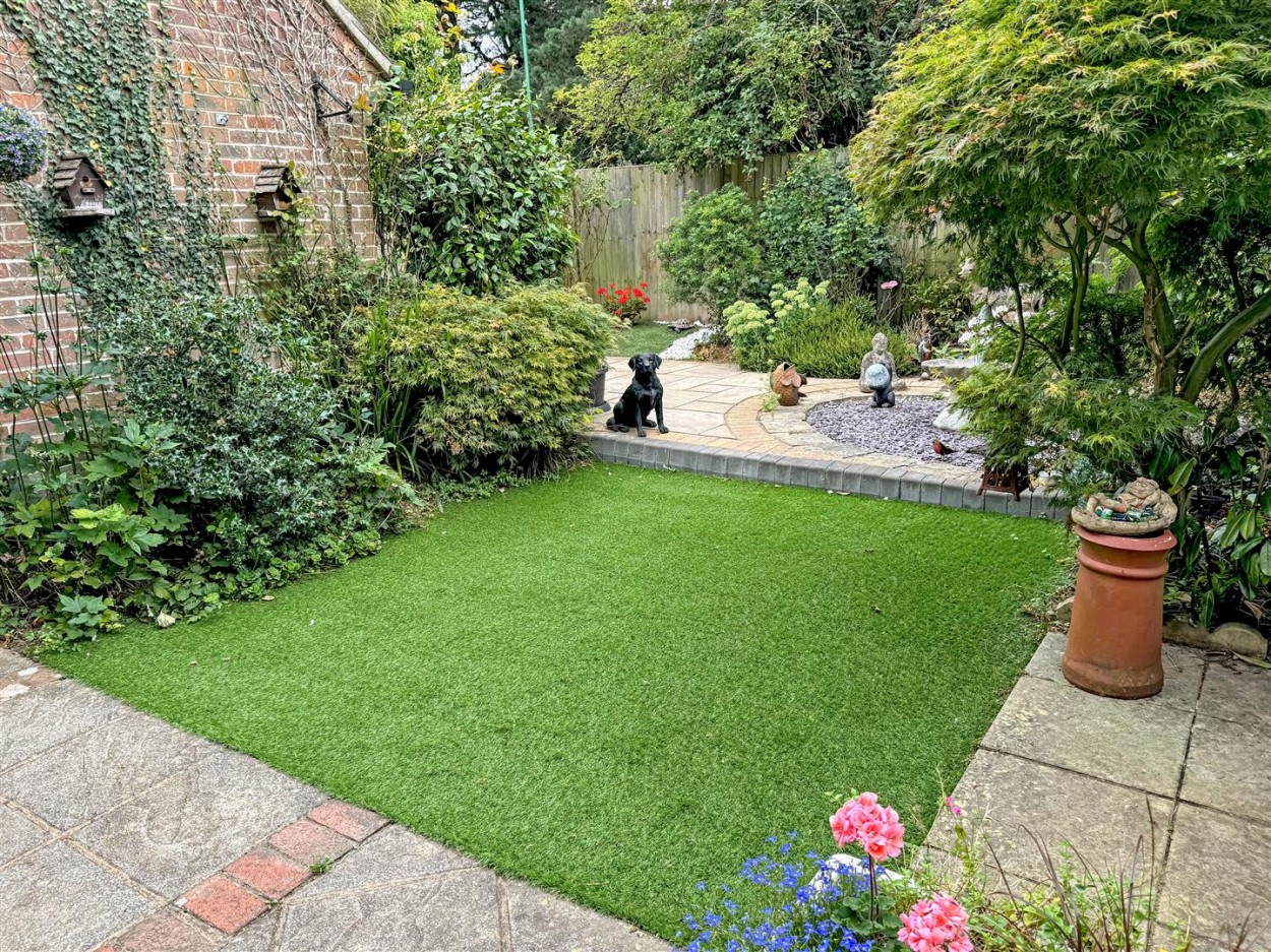 garden3.jpg