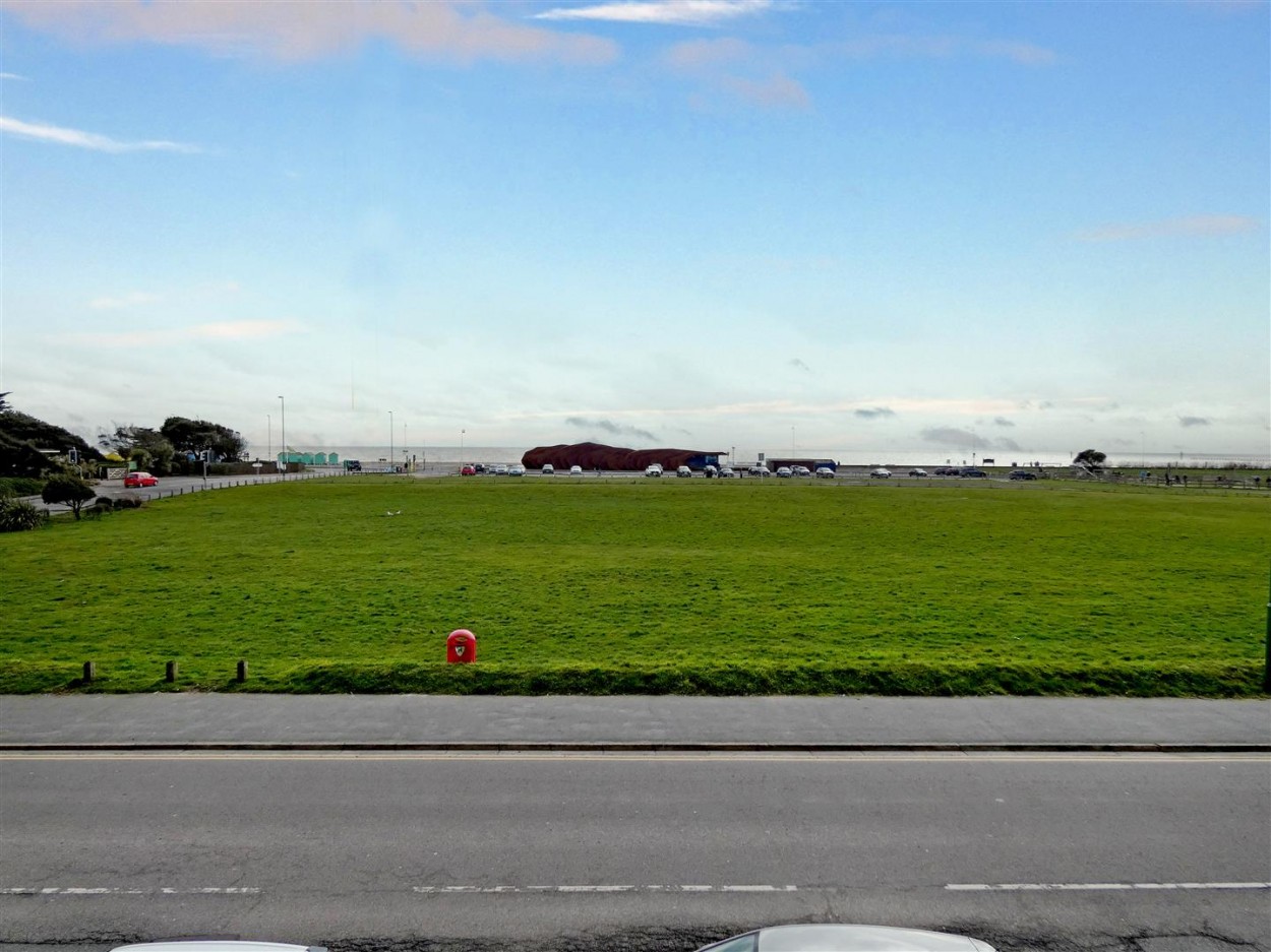 P1030871.1.jpg