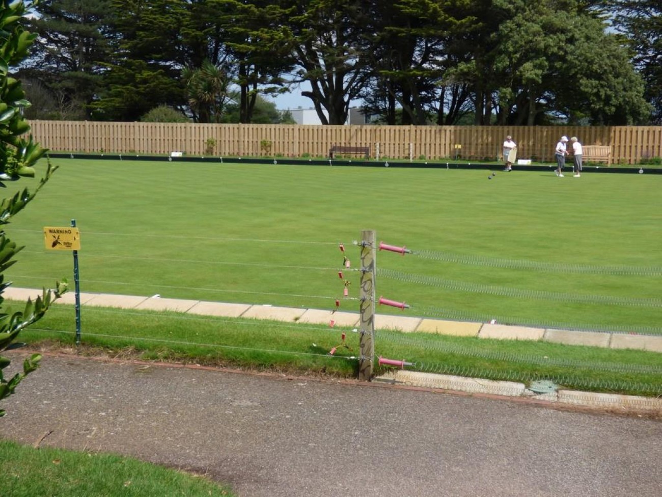 BOWLING GREEN.jpg