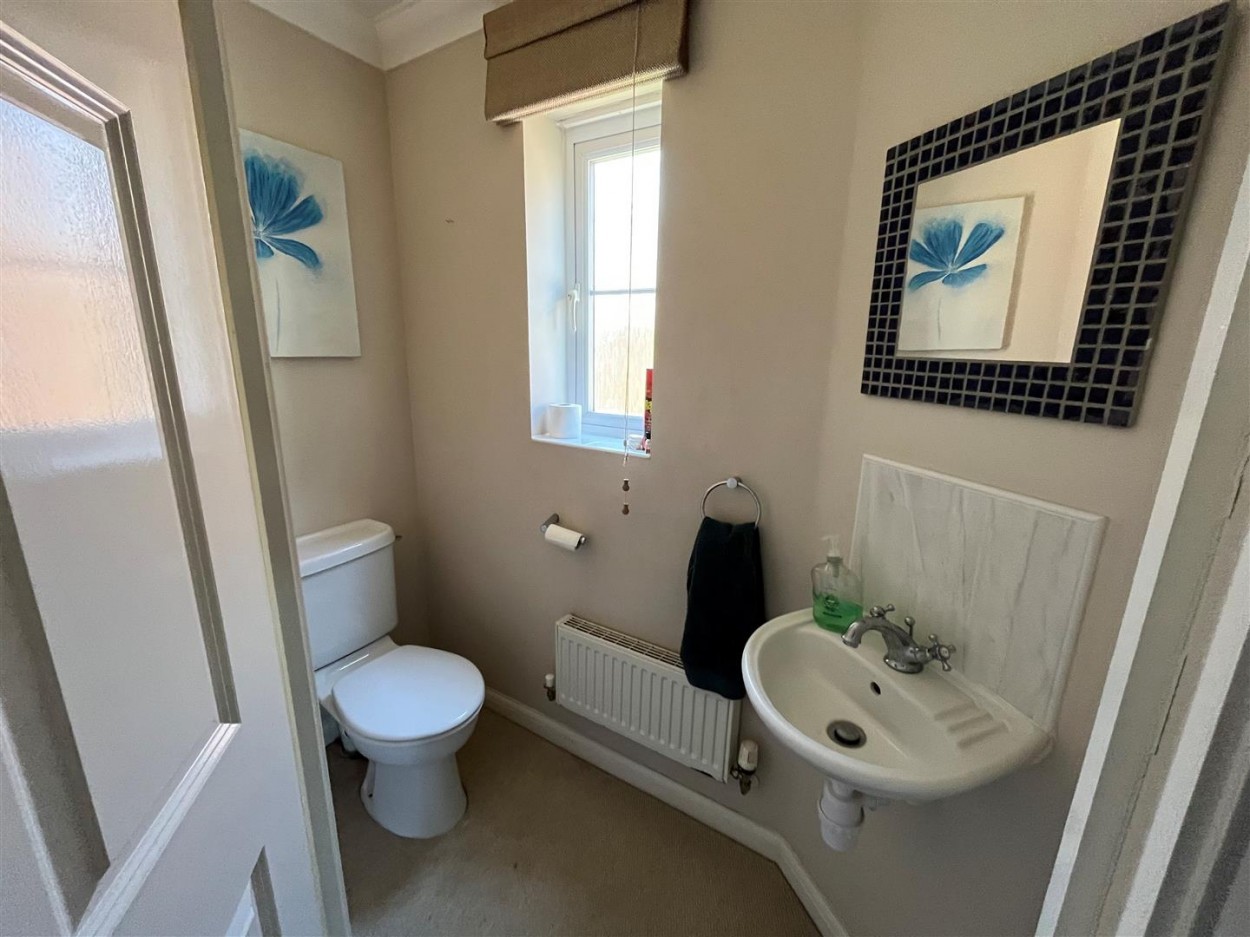 Toilet.jpg