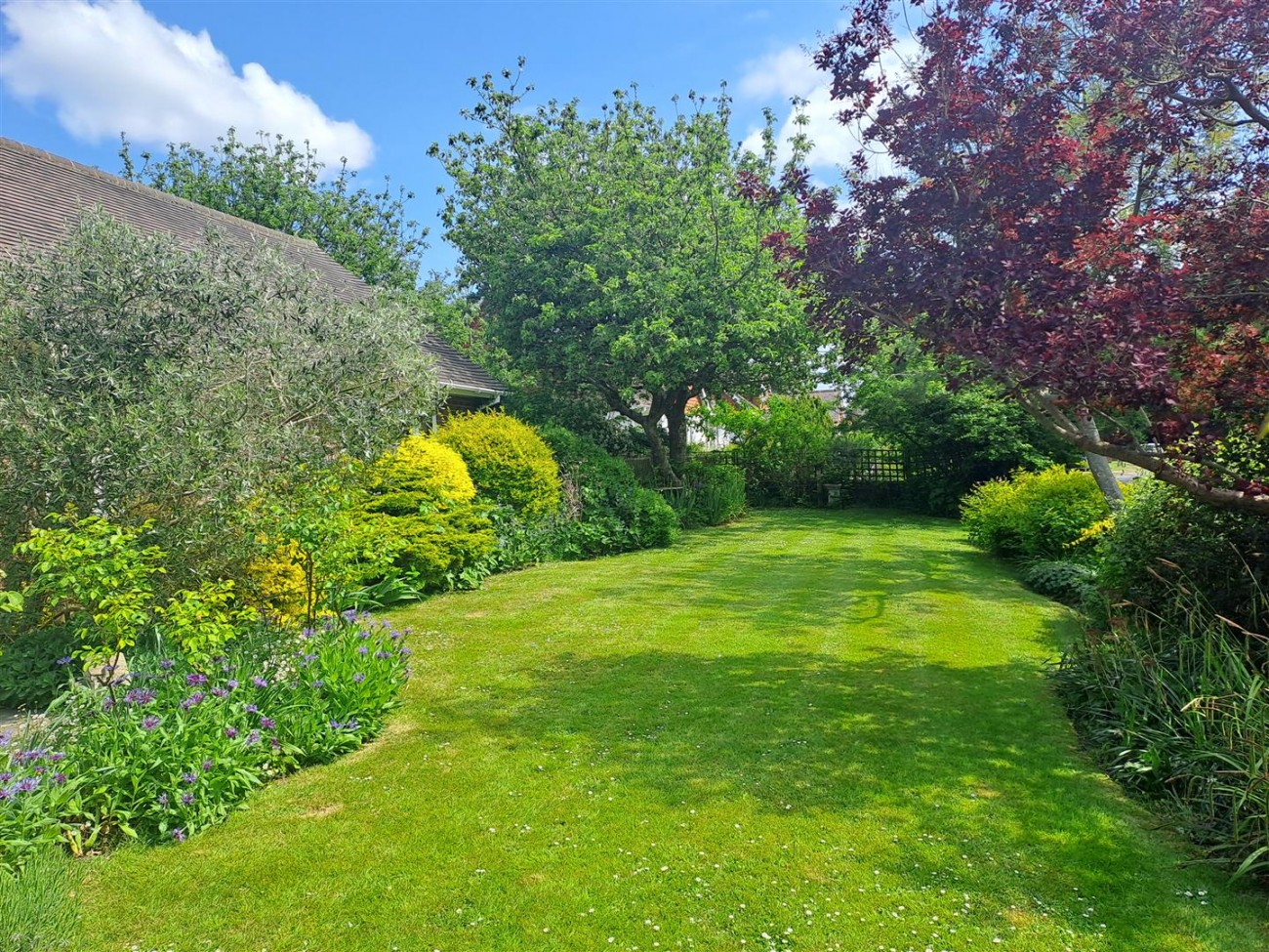 South Facing Side Garden