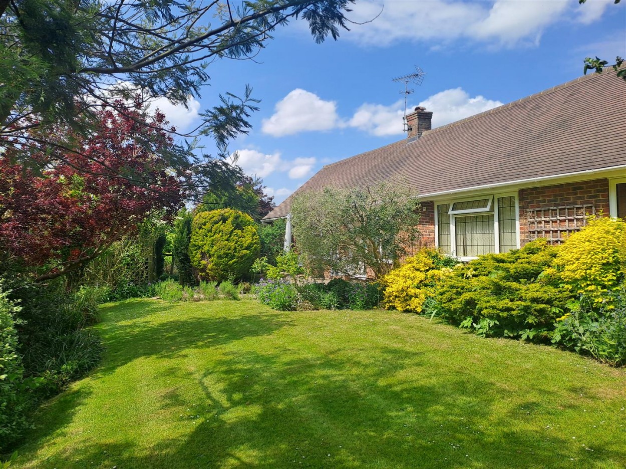 South Facing Side Garden