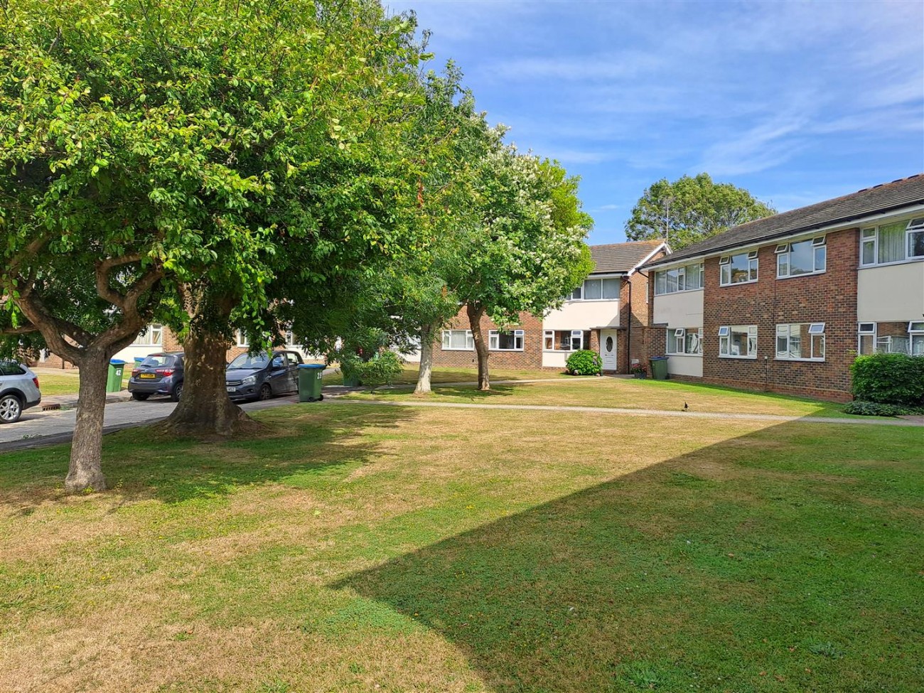 Communal Garden