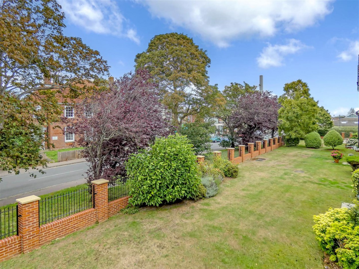 View from Living Room