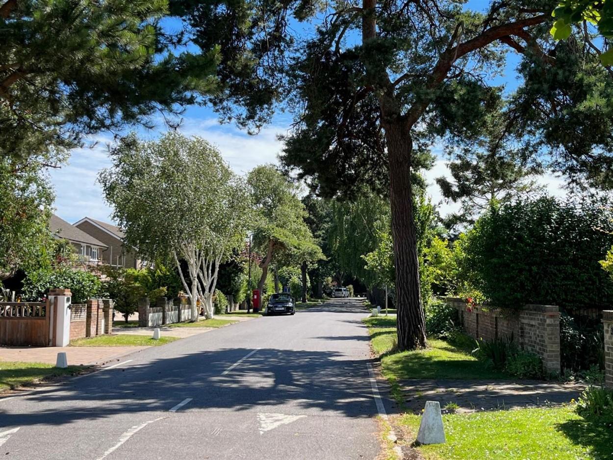 Sae Ave.jpg