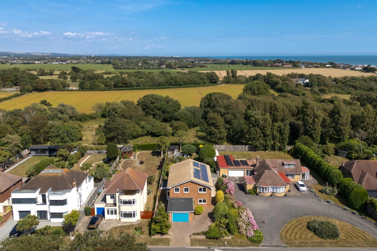 77 Golden Avenue Drone-3.jpg