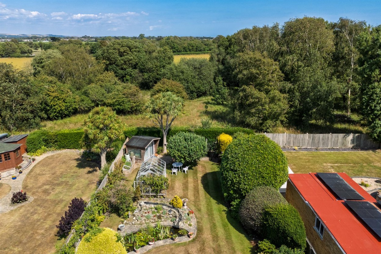 77 Golden Avenue Drone-6.jpg