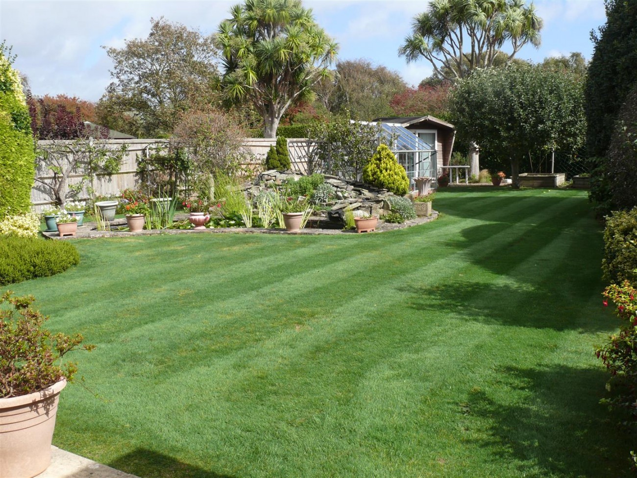 77 Golden Avenue Garden 2.JPG