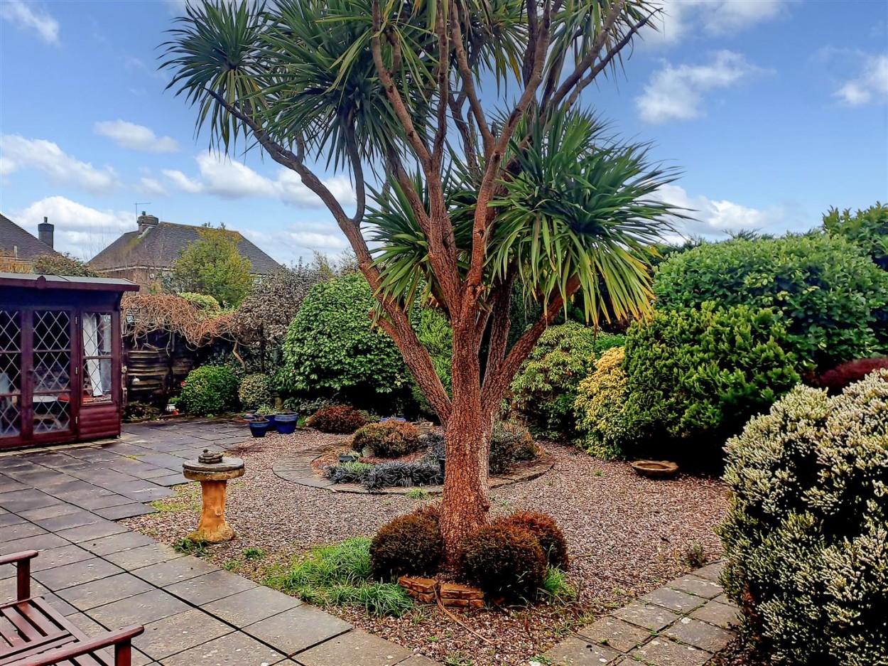 South Facing Rear Garden