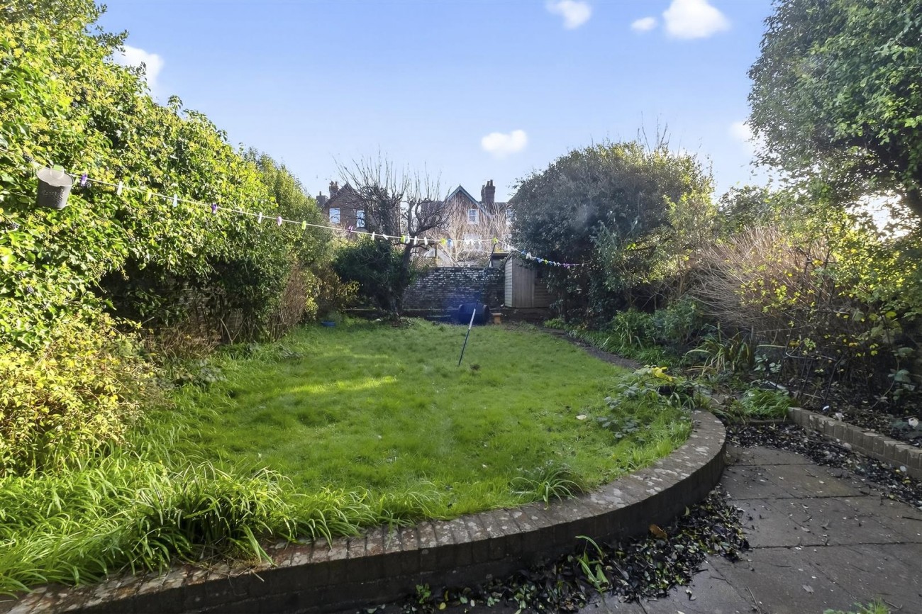 Back Garden 2_c.jpeg