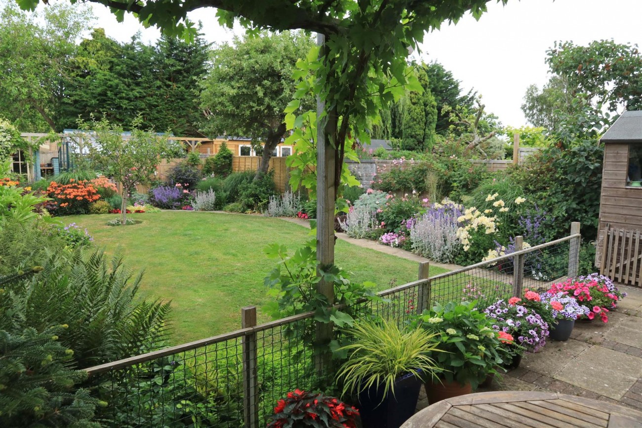 Summer Garden in bloom photo.IMG_5439.JPG