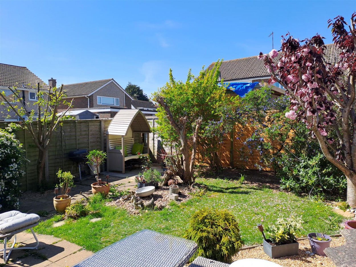 West Facing Rear Garden