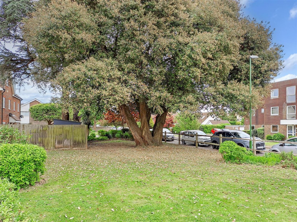 Communal Garden