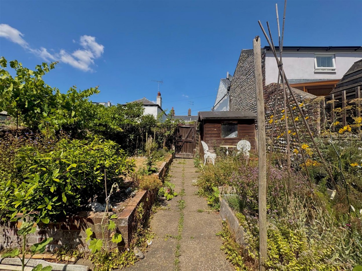 garden12.jpg