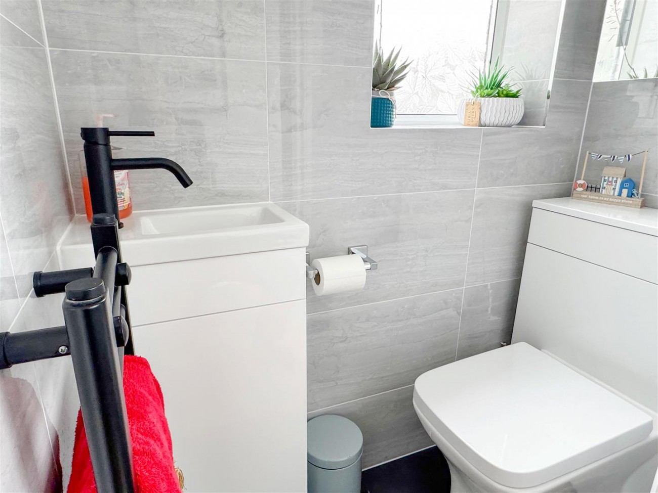 IMG_3421.jpg