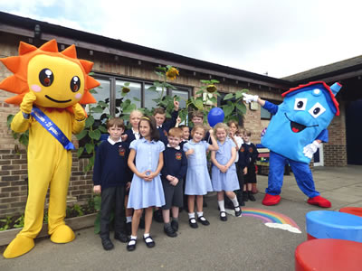 Annual Schools Sunflower growing competition